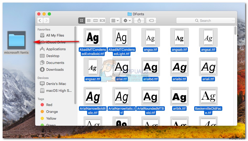 Fix: Office 2016 Grant Access Error on MacOS