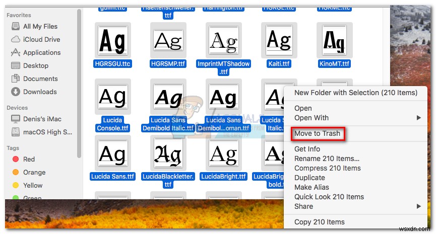 Fix: Office 2016 Grant Access Error on MacOS