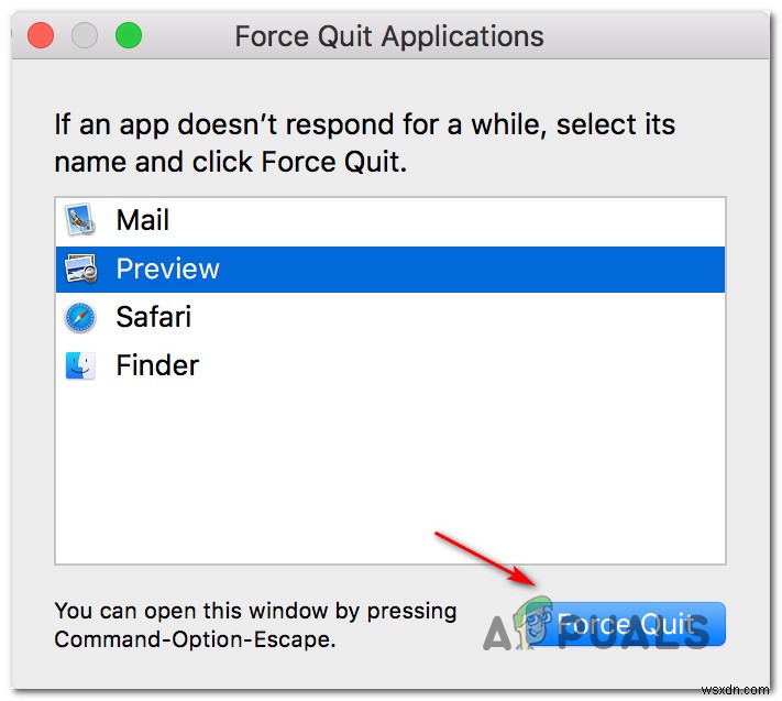 Fix: Office 2016 Grant Access Error on MacOS