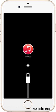 Fix: How to Remove forgotten passcode on iPhone