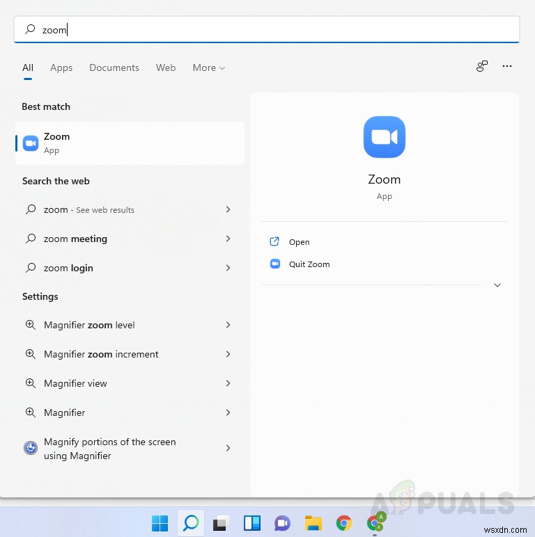 Zoom camera not working? Here’s how to Fix