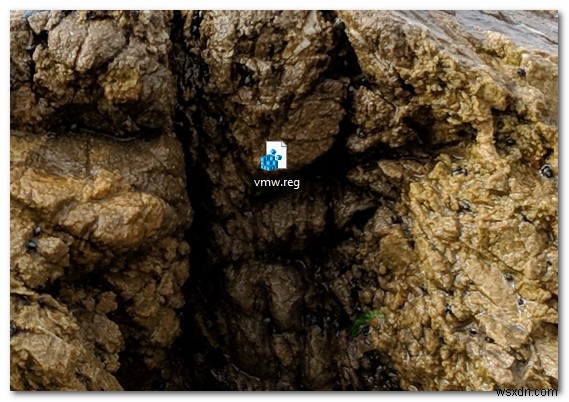 VMware Workstation Pro Can’t Run on Windows? Try these fixes