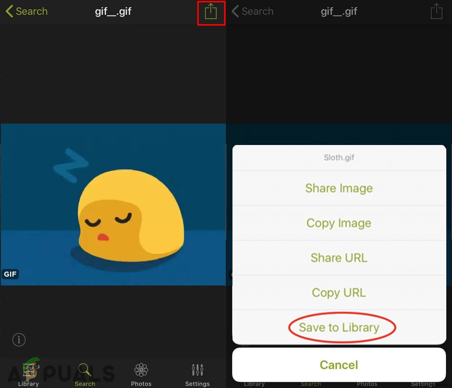 Saving GIF Images from Twitter
