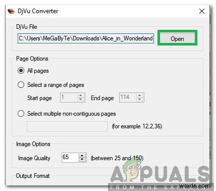 How to Convert DjVu to PDF