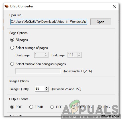 How to Convert DjVu to PDF