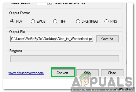 How to Convert DjVu to PDF