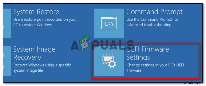 Fix: System Doesn’t Have Any USB Boot Option