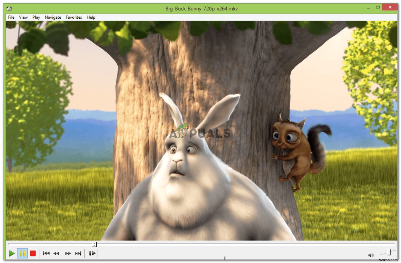 FIX: Cannot Play .mov Files on Windows Media Player