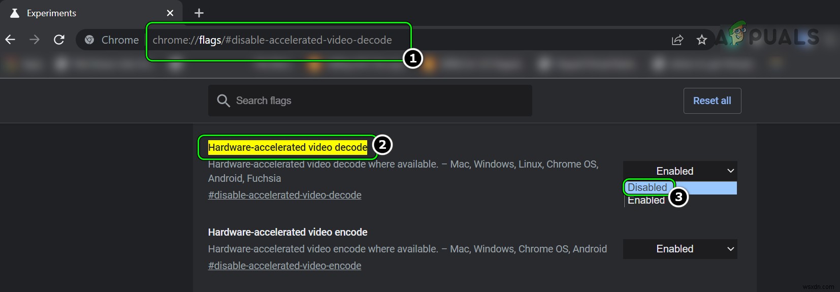 How to Fix Green Screen Issue in YouTube?