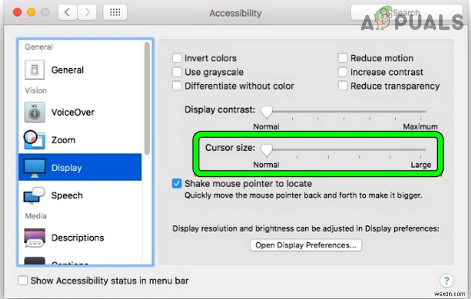 How to Fix Green Screen Issue in YouTube?