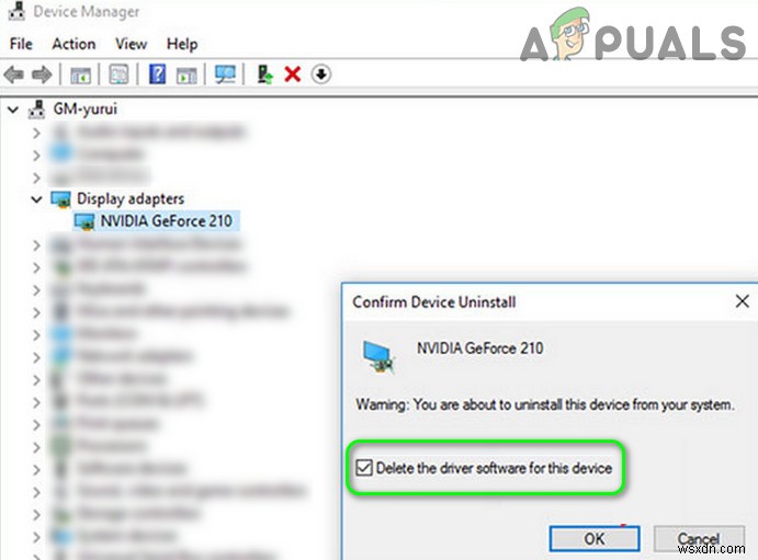 How to Fix Green Screen Issue in YouTube?