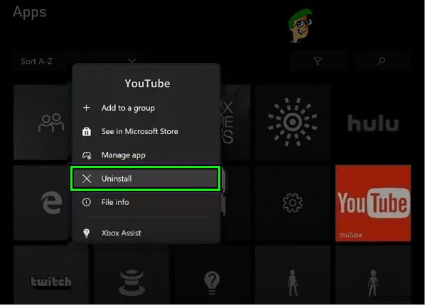 How to Fix Green Screen Issue in YouTube?