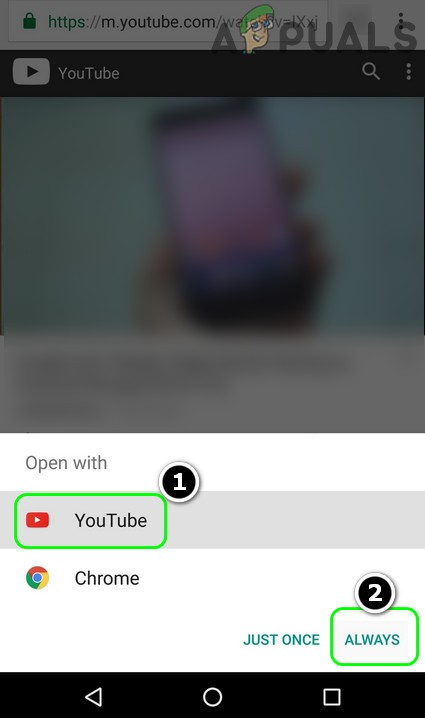 Troubleshoot YouTube Error “Something Went Wrong” on Android, PC, iOS and More