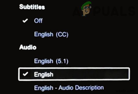 Fix Audio/Video Out of Sync Problems on Netflix (All Platforms)