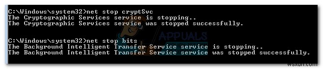 Fix: Windows Update Error 800f0902