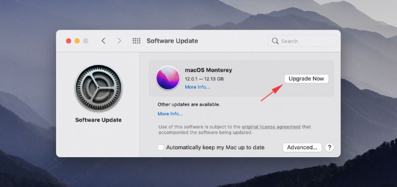 How to Recover Lost Files After a macOS Monterey Update