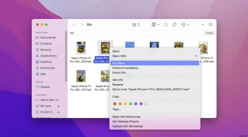 How to Recover Lost Files After a macOS Monterey Update