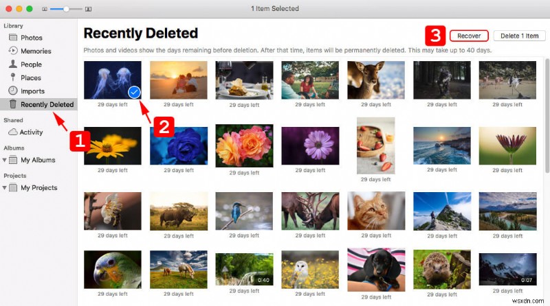 How to Recover Permanently Deleted Photos on Mac
