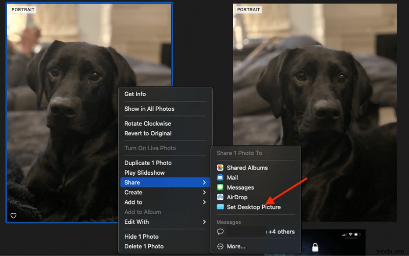 How to Change Desktop Background on MacBook Pro