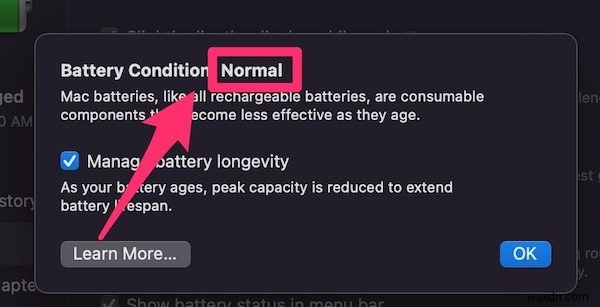 Is It Bad to Leave a MacBook Plugged in All the Time?