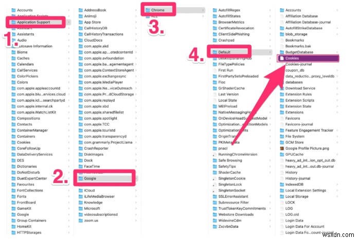 Where Are Cookies Stored on Mac Chrome?