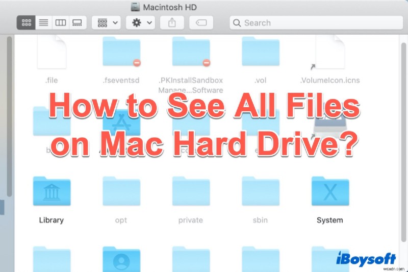 How to See All Files on a Mac Hard Drive (Including the Hidden Ones)!