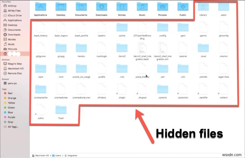 How to See All Files on a Mac Hard Drive (Including the Hidden Ones)!