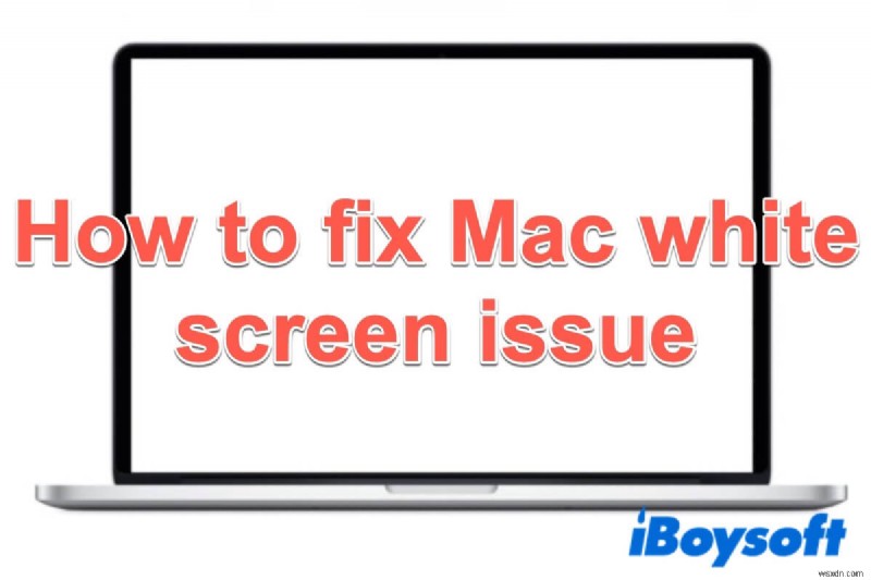 How to Fix Mac White Screen on Startup?
