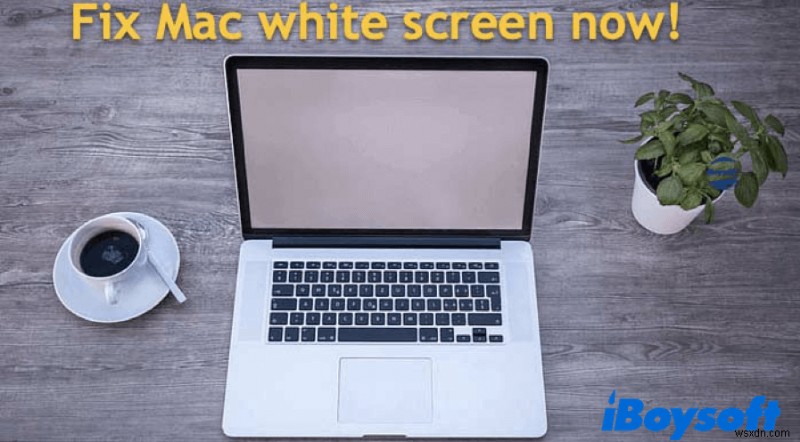 How to Fix Mac White Screen on Startup?