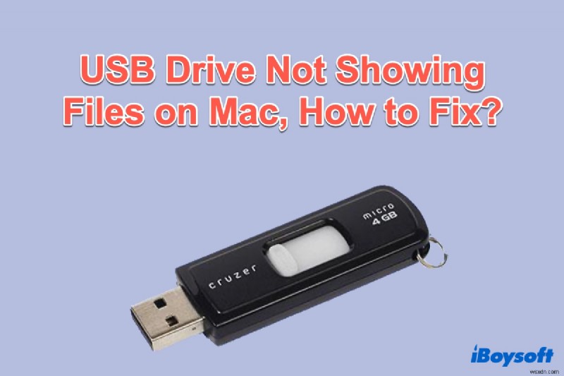 Cant See Files on the USB Drive Mac, How to Fix?