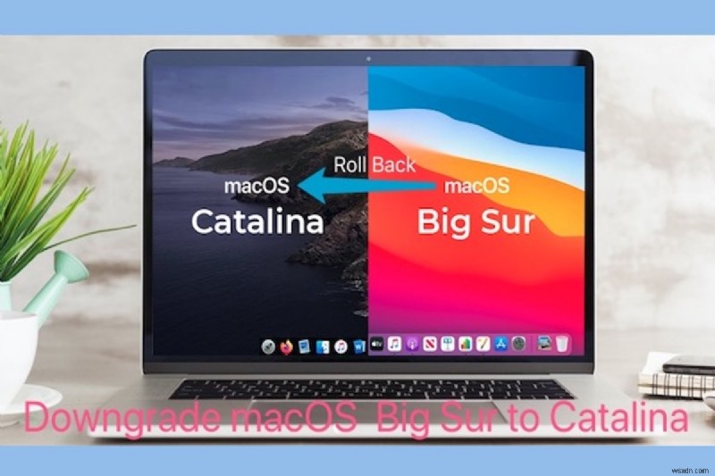 How to Downgrade Mac OS: Big Sur to Catalina or Monterey to Big Sur