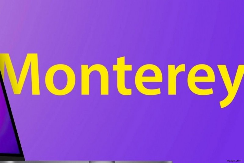 [Fixed] Location Services Not Working In macOS Monterey