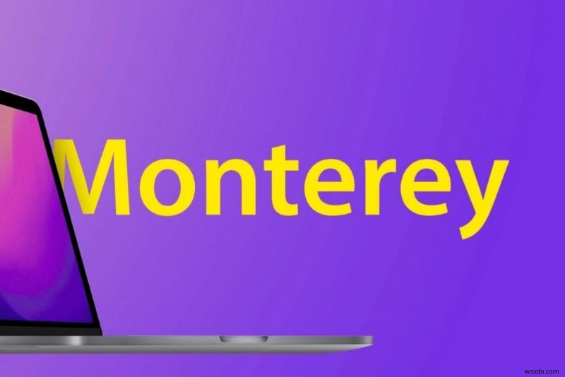 macOS Monterey 12.4 installation stuck? Try these fixes