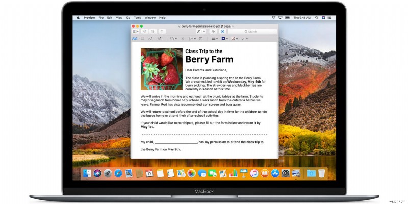 Best Ways to Password Protect Your PDF Files on Mac