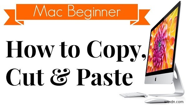Useful Tips to Fix Copy And Paste Acting up on Mac