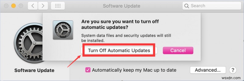 How to Disable Automatic Updates on Mac?