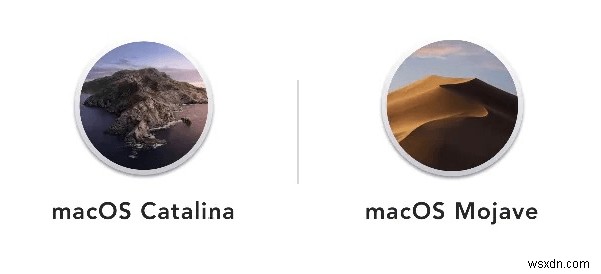 Mojave Vs Catalina: Should I Upgrade from Mojave to Catalina?