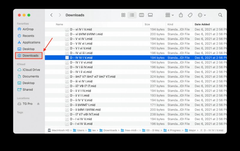 How to Restore Deleted Downloads Folder on Mac: All You Need to Know