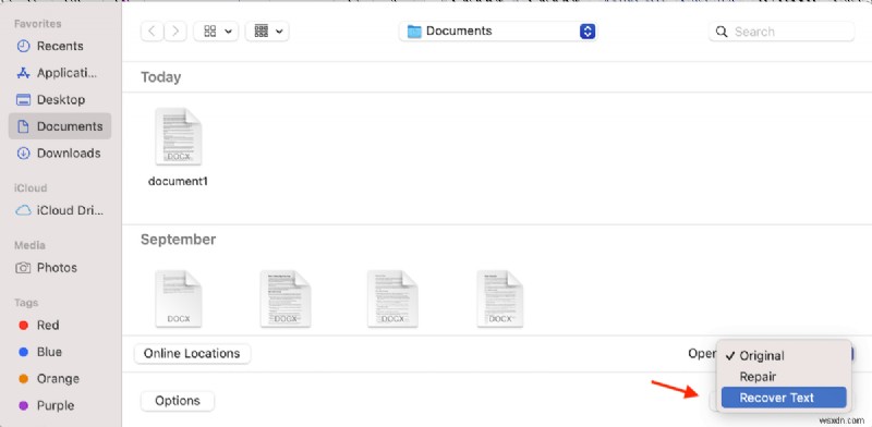 7 Methods to Recover a Deleted Word Document on Mac