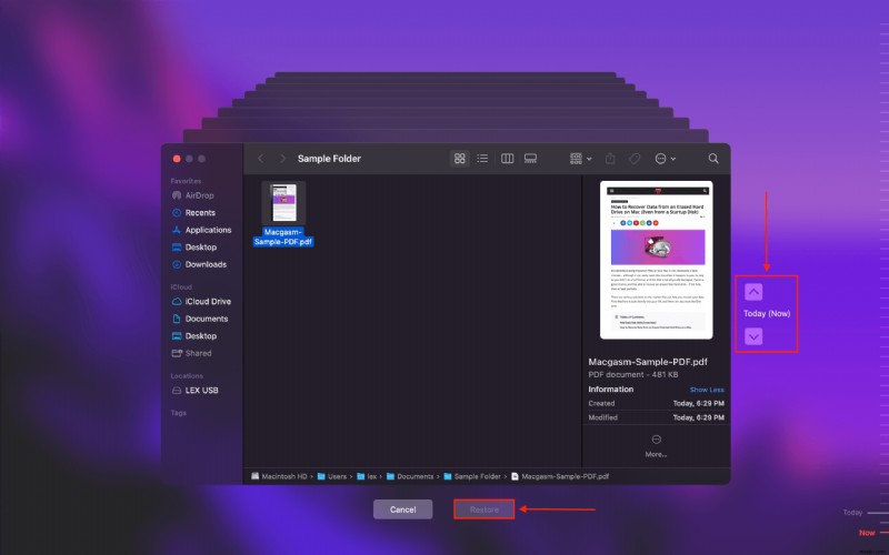 The Top 7 Best Free Data Recovery Tools for Mac in 2022