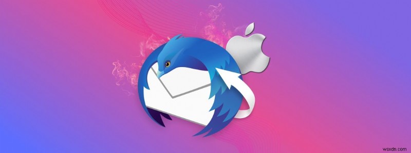 How to Recover Deleted Thunderbird Emails on a Mac: All You Need to Know