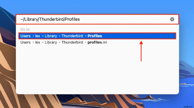 How to Recover Deleted Thunderbird Emails on a Mac: All You Need to Know