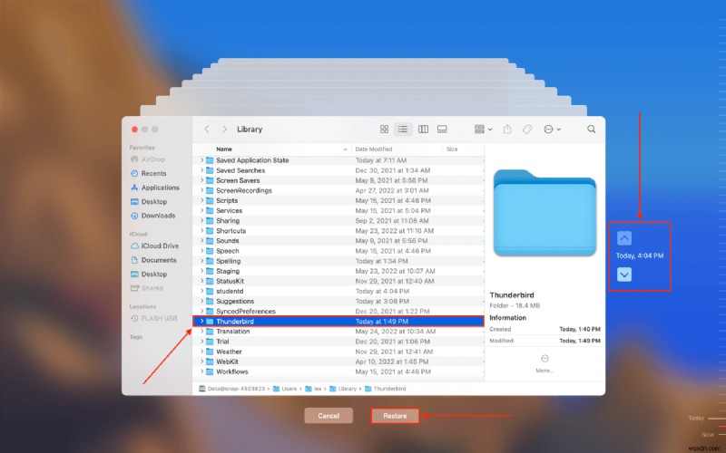 How to Recover Deleted Thunderbird Emails on a Mac: All You Need to Know