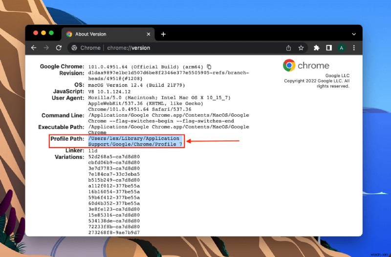 How to Recover Deleted Bookmarks from Google Chrome on a Mac