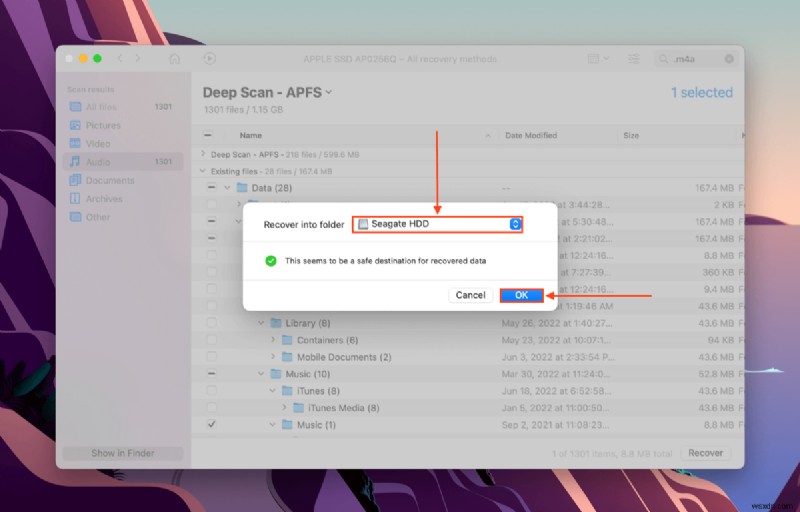 How to Recover Deleted Songs from iTunes on a Mac: 5 Methods + Bonus