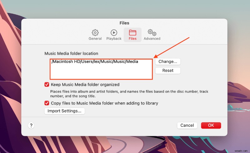How to Recover Deleted Songs from iTunes on a Mac: 5 Methods + Bonus
