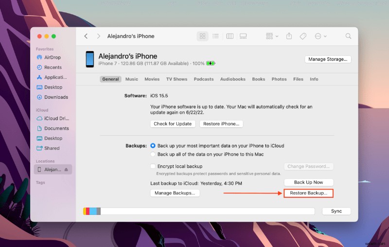 How to Recover Deleted Songs from iTunes on a Mac: 5 Methods + Bonus