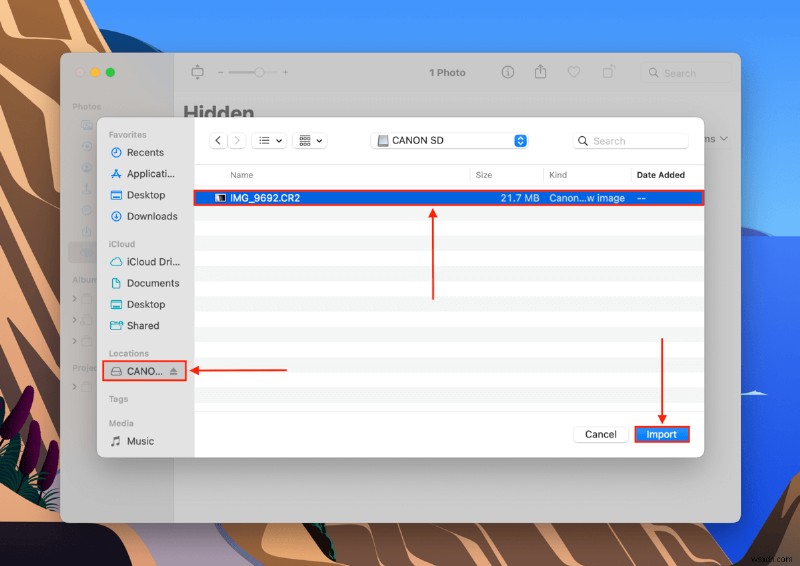 How to Import Photos and Videos from an SD Card to Mac