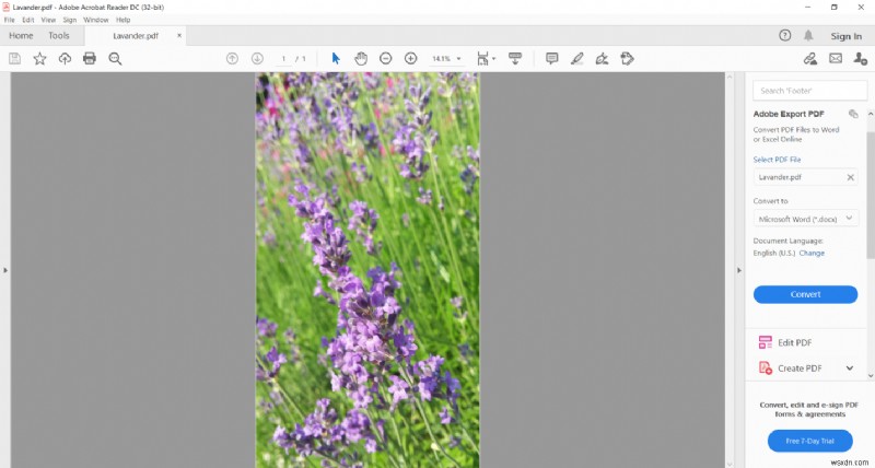 How to Convert HEIC to PDF for Free