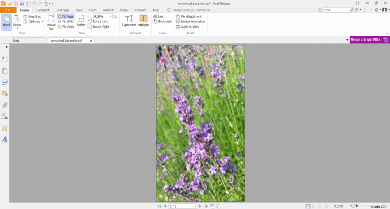 How to Convert HEIC to PDF for Free